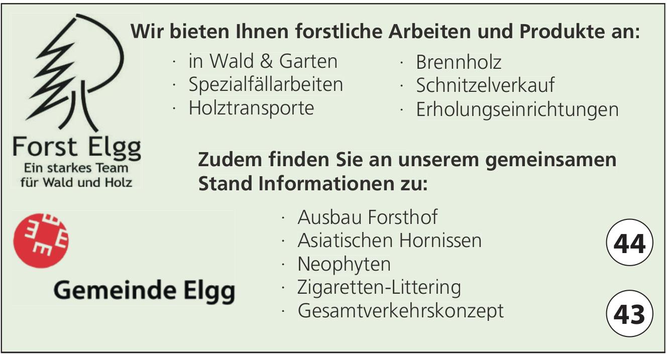 Gemeinde Elgg, Wald - Wir bieten Ihnen forstliche Arbeiten und Produkte an