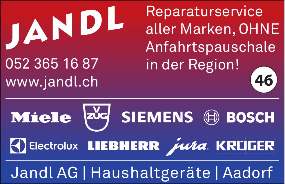 Jandl AG, Reparaturservice aller Marken, OHNE Anfahrtspauschale in der Region!