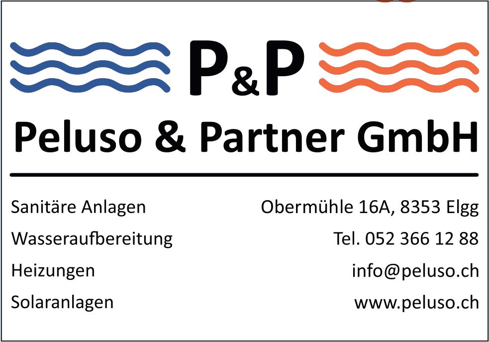 Peluso & Partner GmbH, Elgg - Sanitäre Anlagen