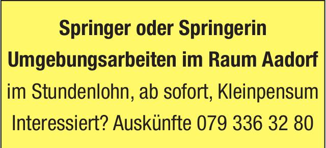 Springer oder Springerin, Aadorf, gesucht