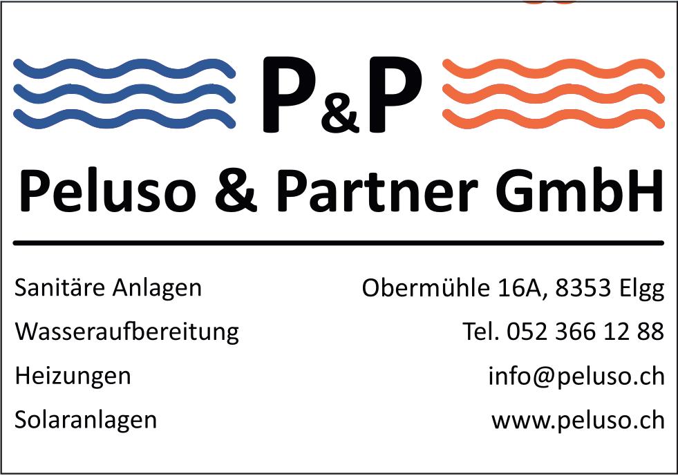 Peluso & Partner GmbH, Elgg - Sanitäre Anlagen