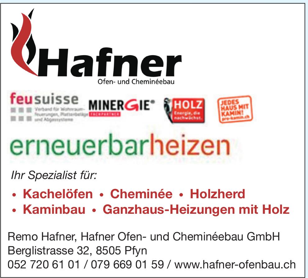 Hafner Ofen- und Cheminéebau, Pfyn - erneuerbar heizen