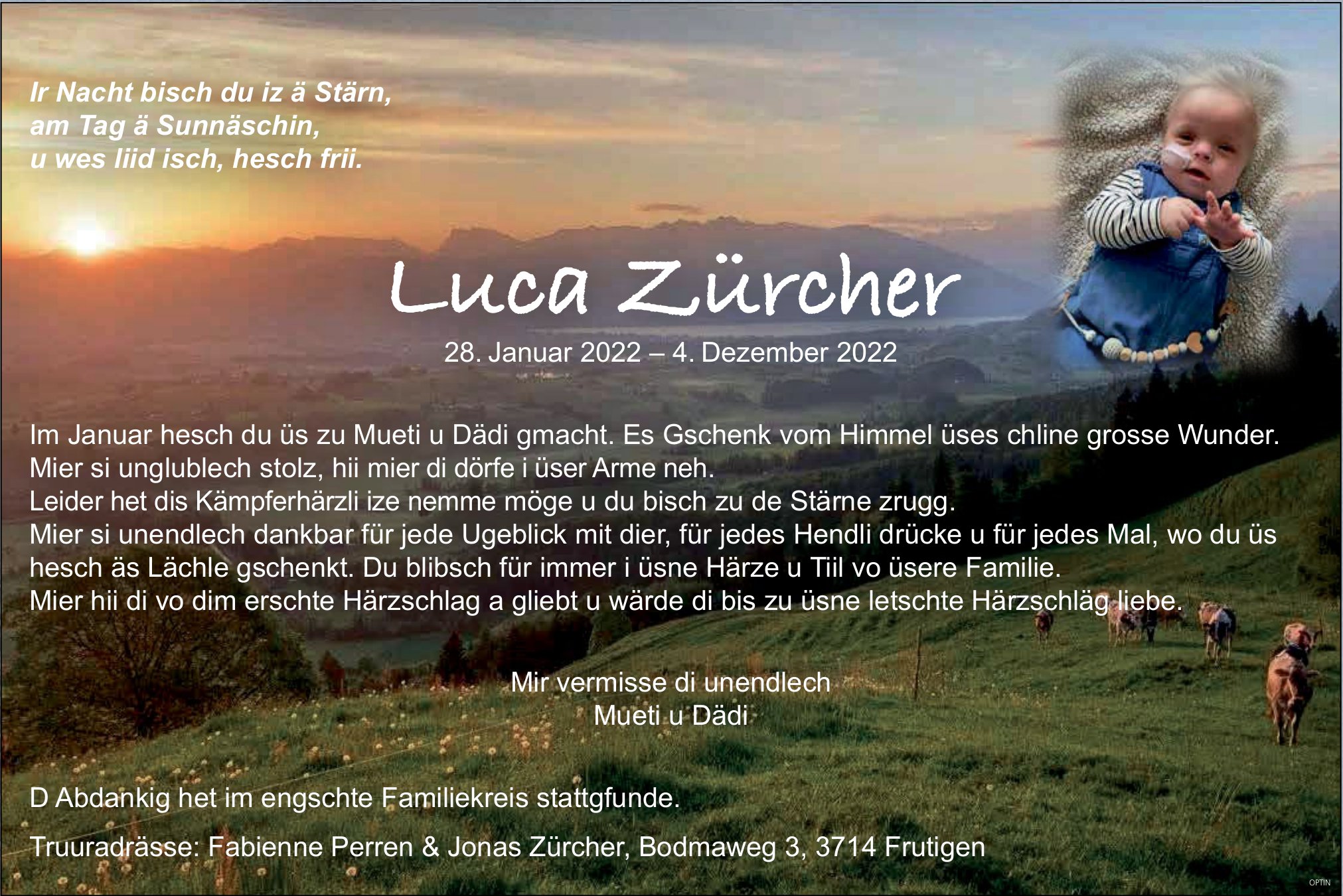 Luca Zürcher, Dezember 2022 / TA