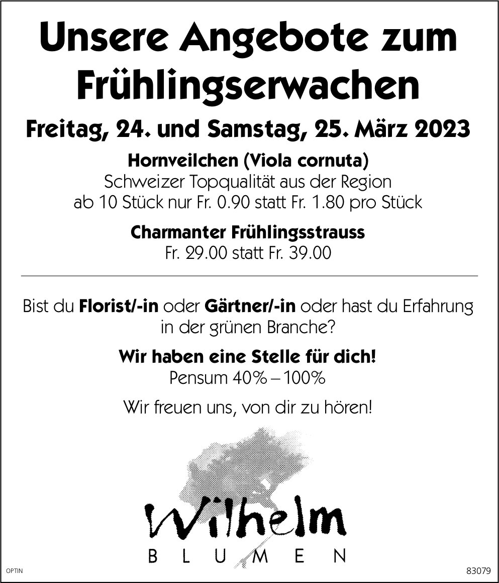 Angebot zum Frühlingserwachen, 24. - 25. März, Wilhelm Blumen