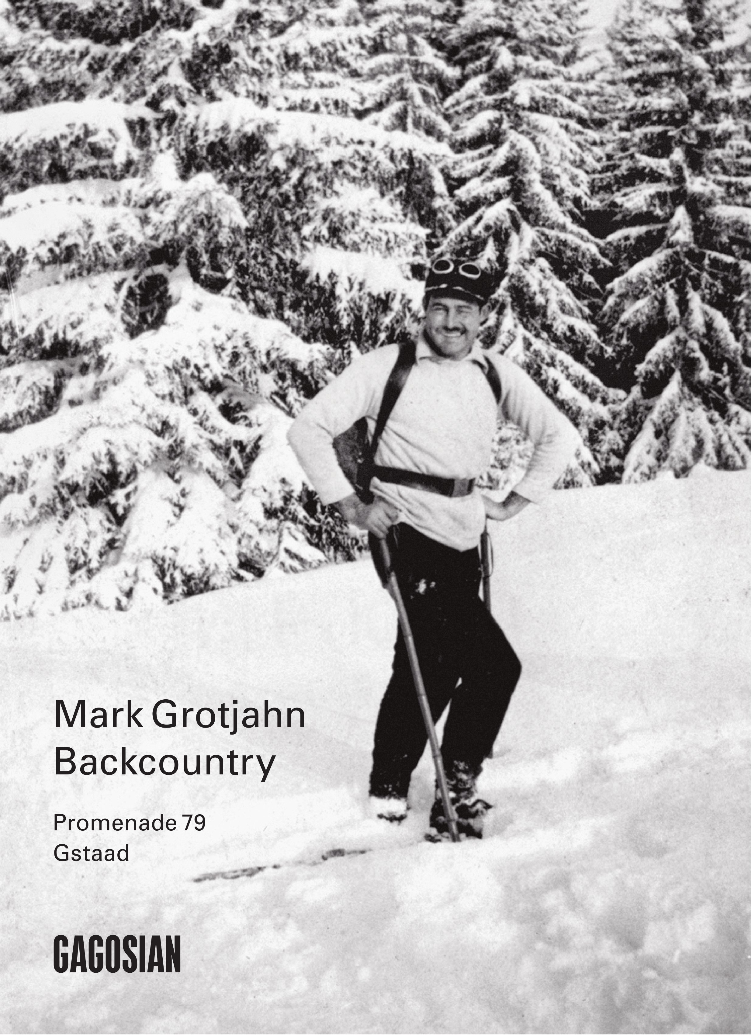 Gagosian, Gstaad - Mark Grotjahn Backcountry