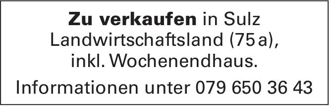 Landwirtschaftsland (75a), Sulz, zu verkaufen