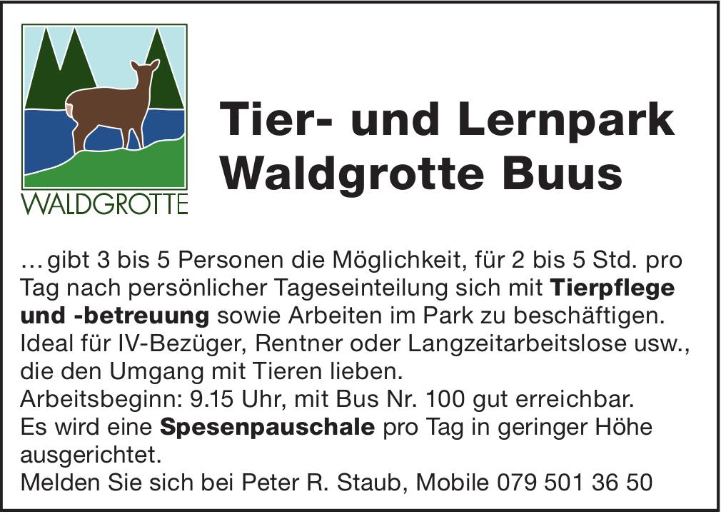 Tierpflege und -betreuung, WALDGROTTE, zu vergeben