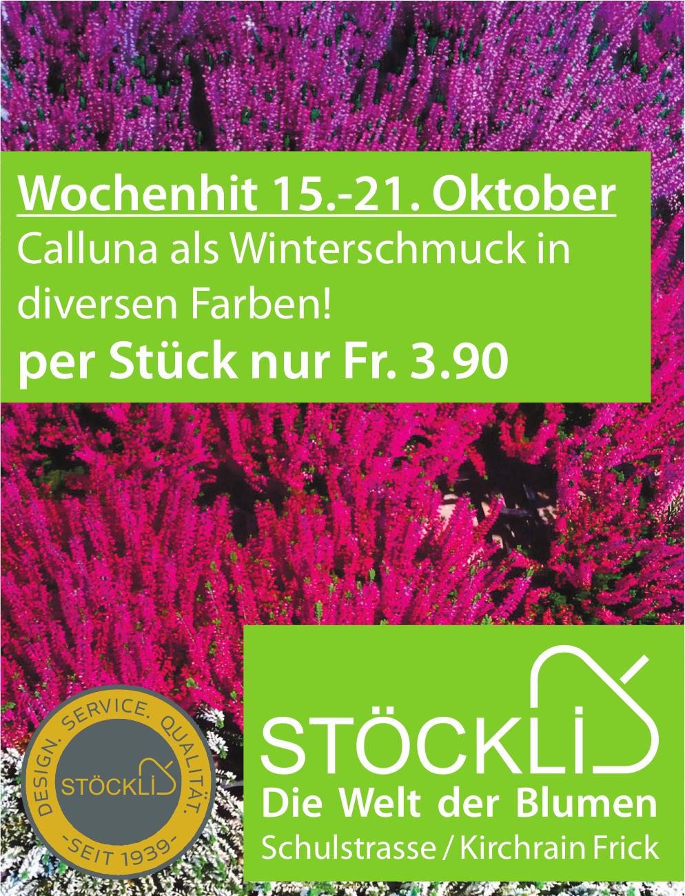 STÖCKLI, Frick - Calluna als Winterschmuck in diversen Farben!