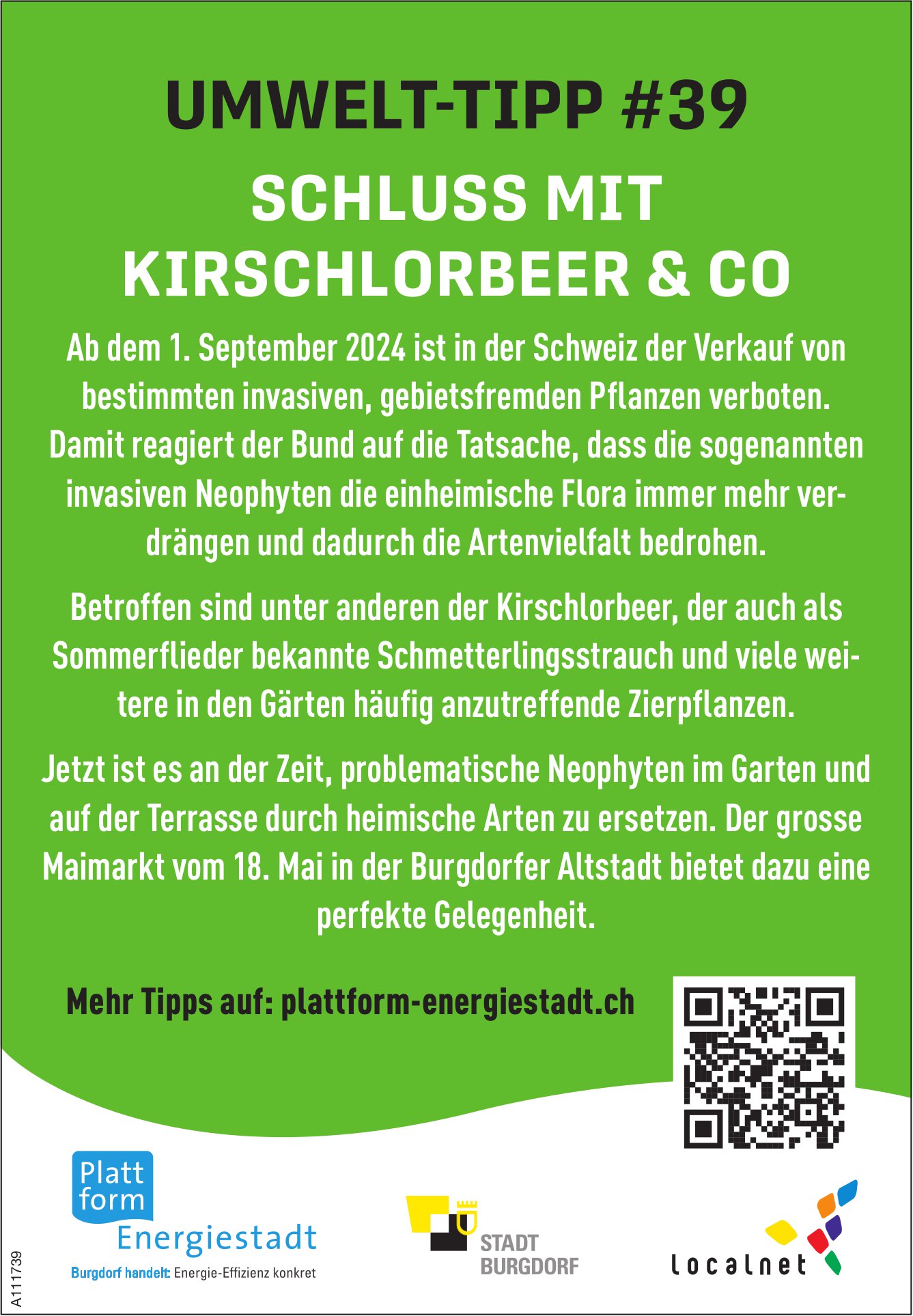 Plattform Energiestadt, Umwelt-Tipp #39: Schluss mit Kirschlorbeer & Co