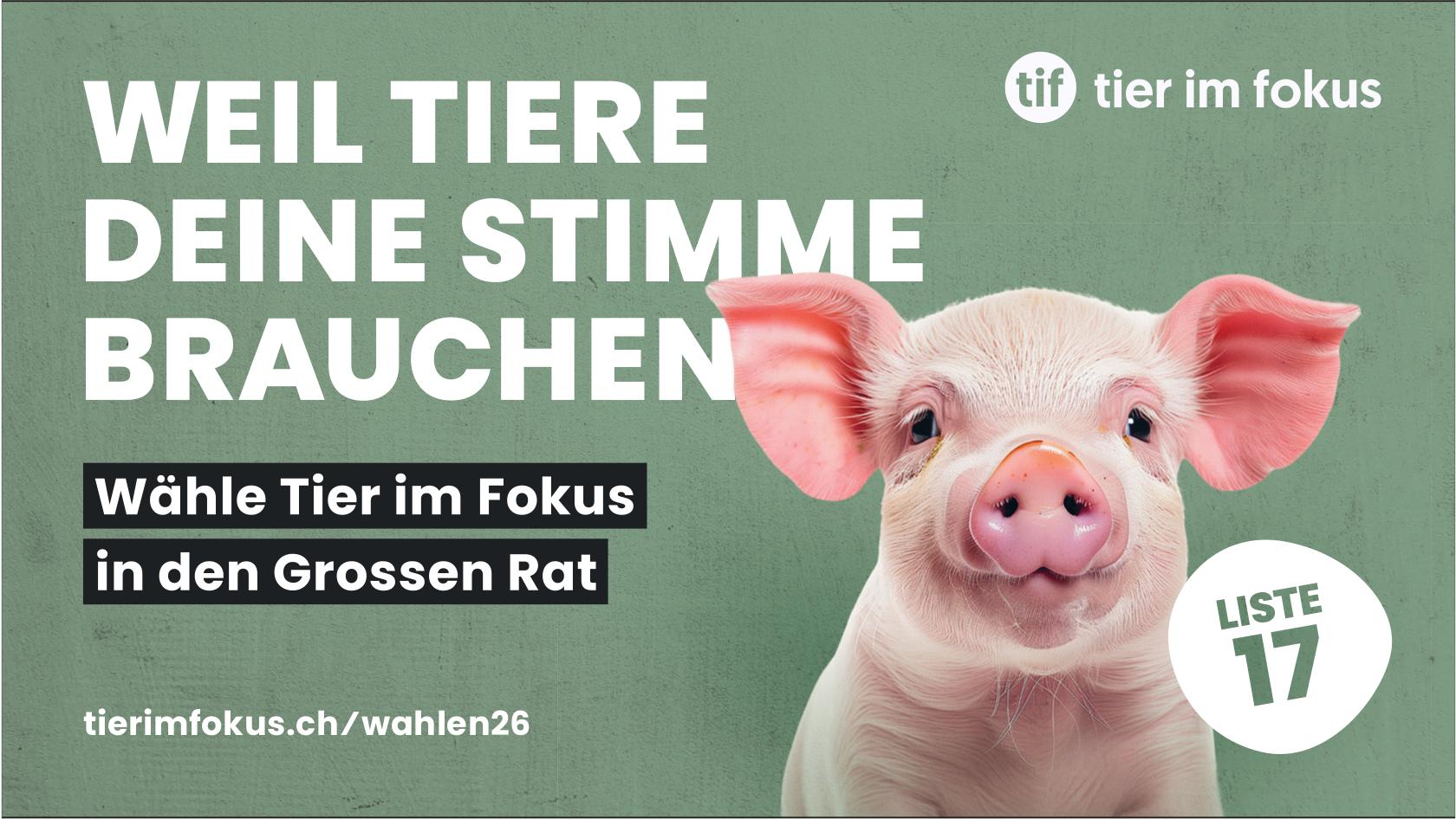 tier im fokus, WEIL TIERE DEINE STIMME BRAUCHEN