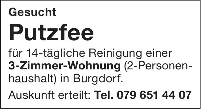 Putzfee, Burgdorf, Gesucht