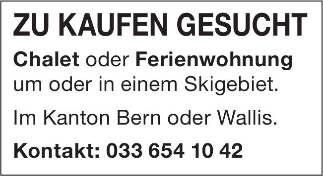 Chalet oder Ferienwohnung, zu kaufen gesucht