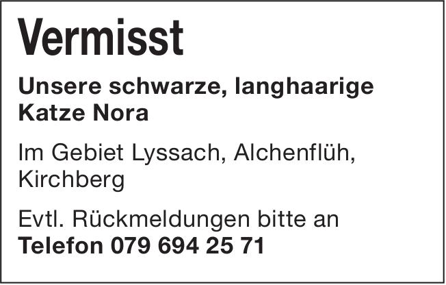 Vermisst - Unsere schwarze, langhaarige Katze Nora