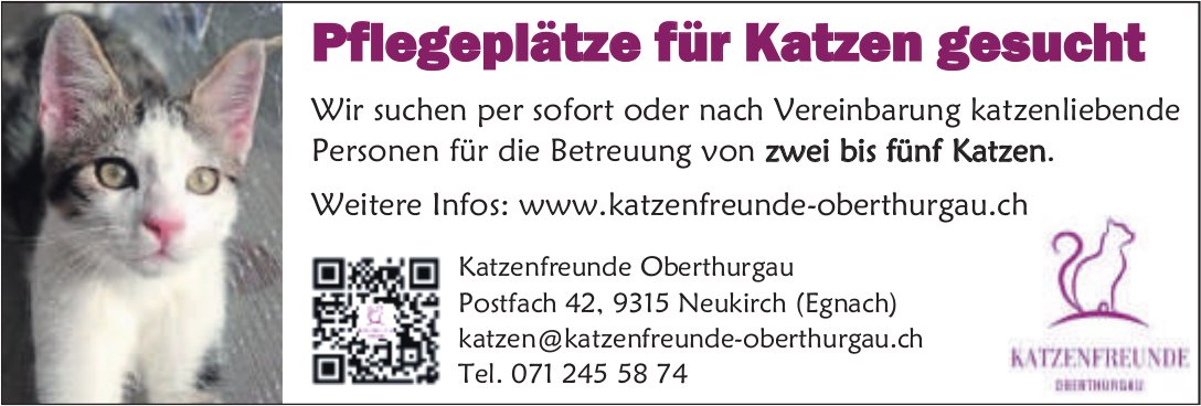 Katzenfreunde Oberthurgau, Neukirch - Pflegeplätze für Katzen gesucht