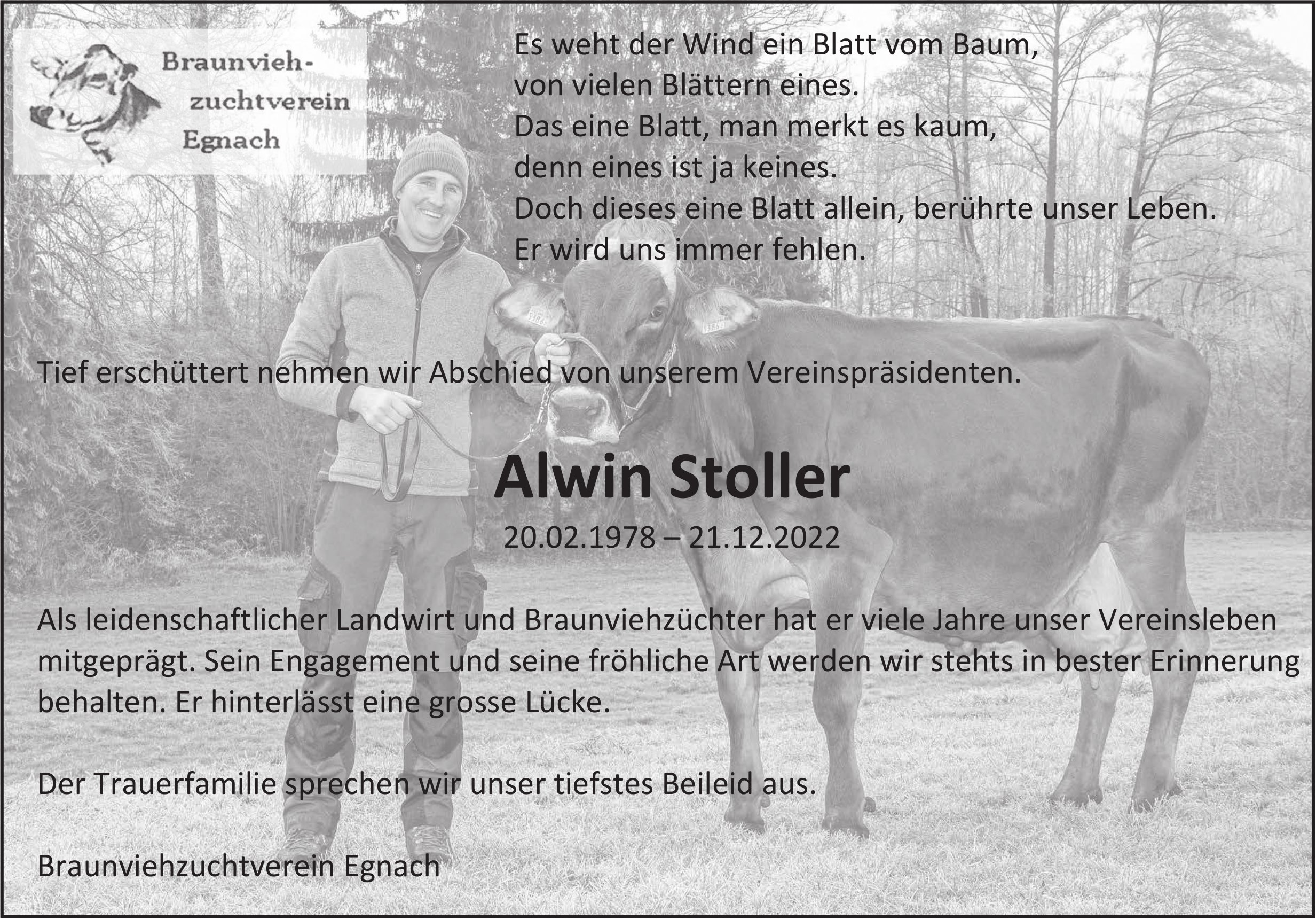 Stoller Alwin, Dezember 2022 / TA