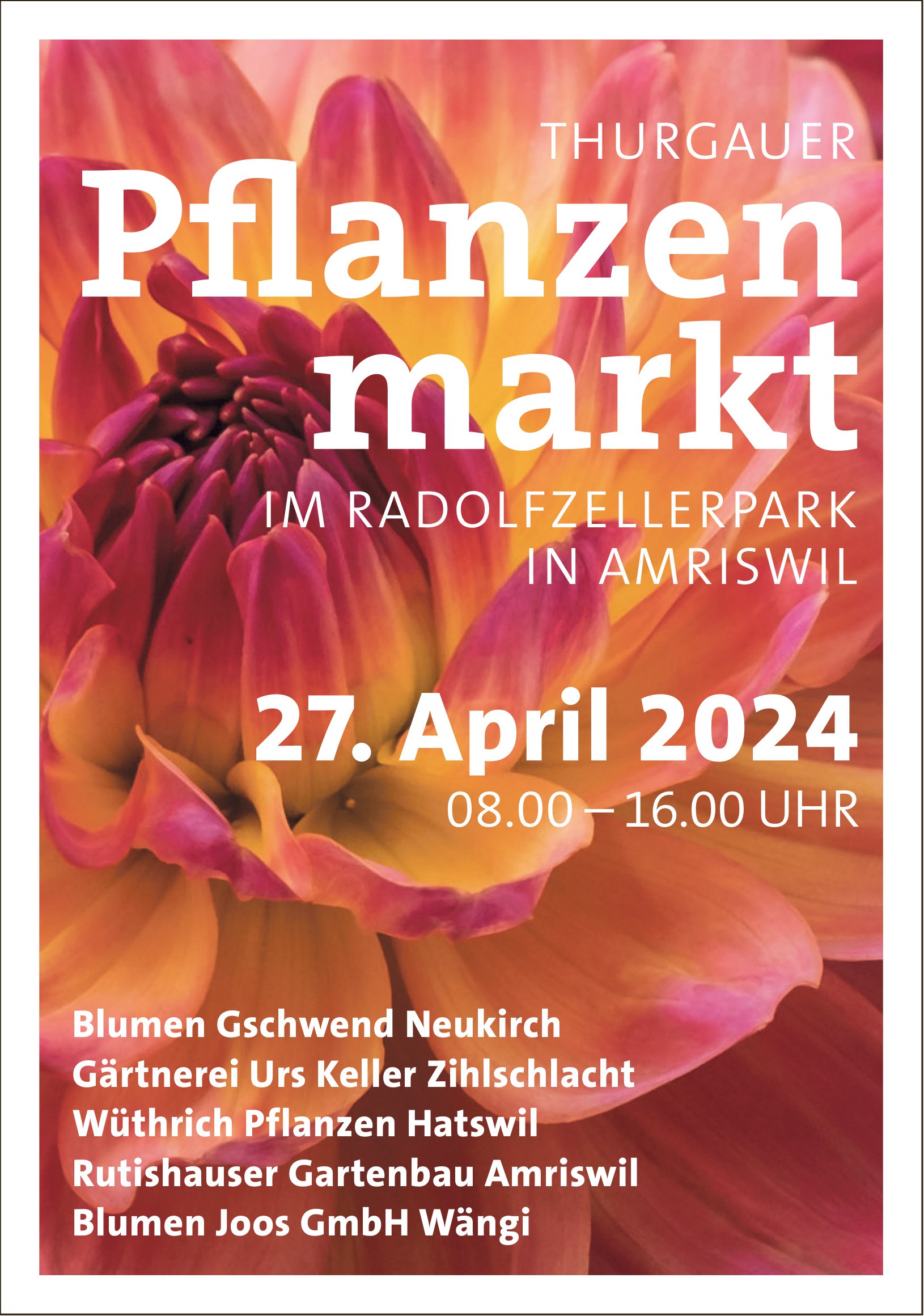 Thurgauer Pflanzen markt, 27. April, Amriswil