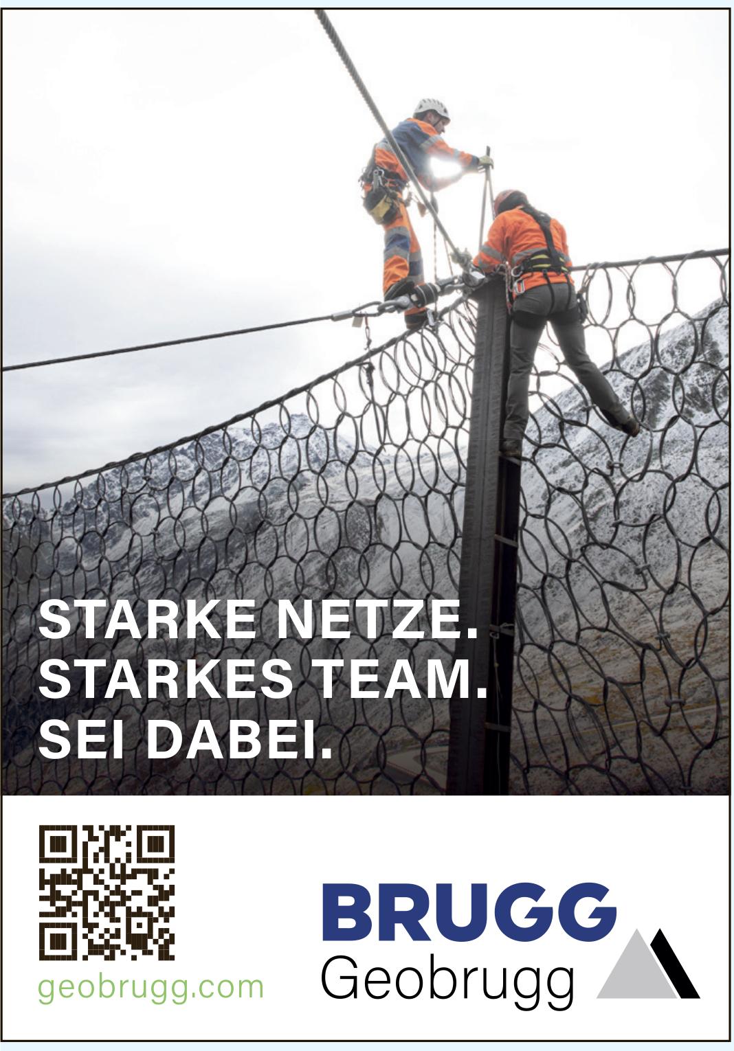 Geobrugg, STARKE NETZE. STARKES TEAM. SEI DABEI.