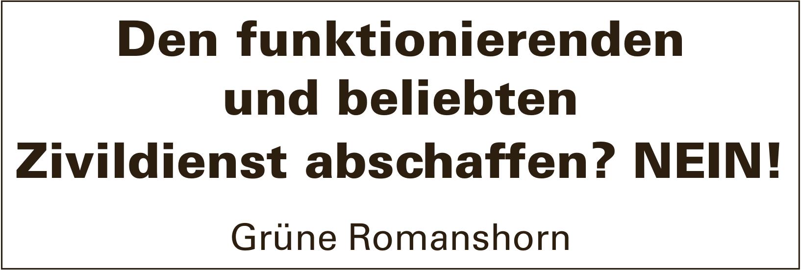 Grüne Romanshorn, Den funktionierenden und beliebten Zivildienst abschaffen? NEIN!