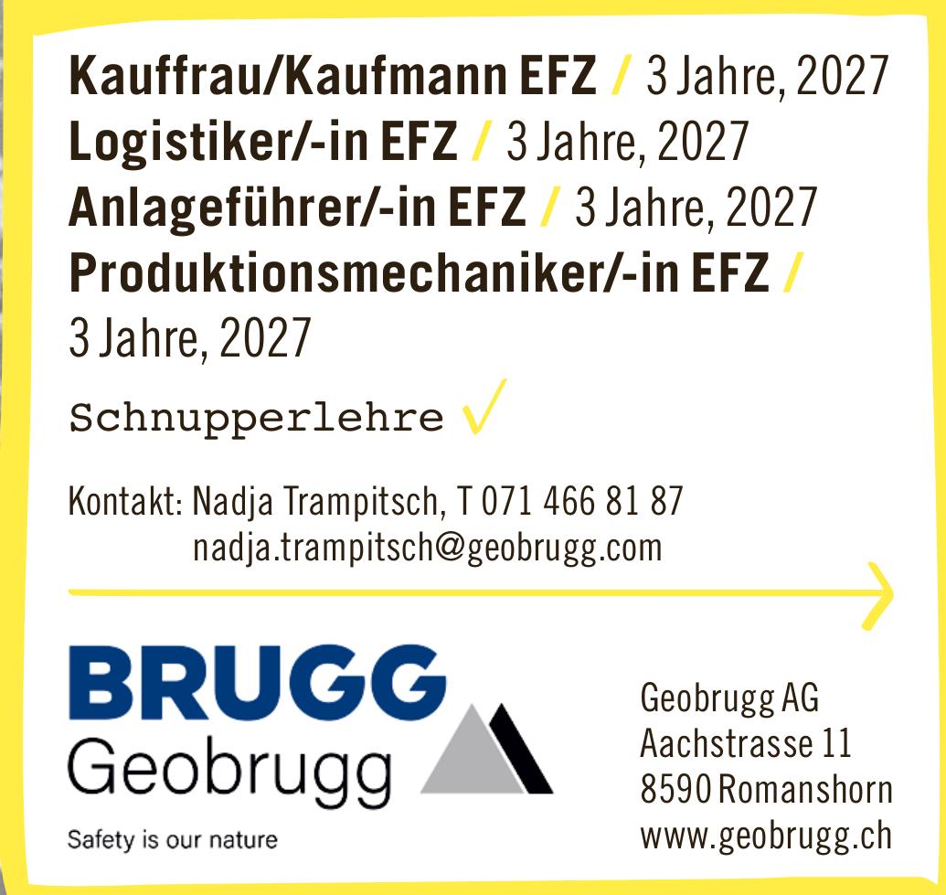Brugg Geobrugg, Romanshorn - Kauffrau/Kaufmann EFZ