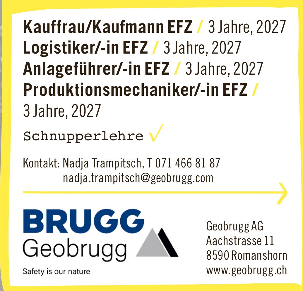 Brugg Geobrugg, Romanshorn - Kauffrau/Kaufmann EFZ