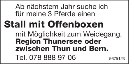 Stall mit Offenboxen, Region Thunersee oder zwischen Thun und Bern, zu mieten gesucht