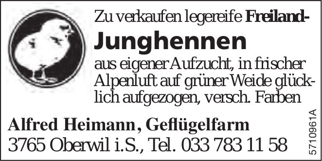 Alfred Heimann, Geflügelfarm, Oberwil i.S. - Legereife Freiland- Junghennen zu verkaufen