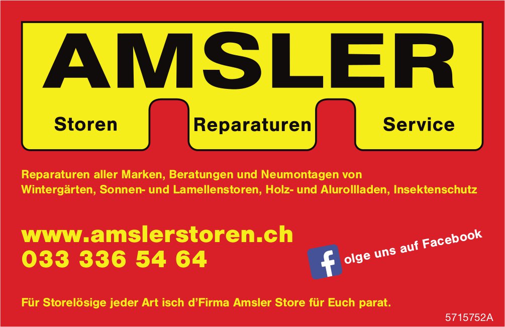 Amsler Store - Storen, Reparaturen,  Service
