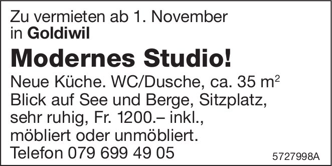 Modernes Studio!, Goldiwil, zu vermieten