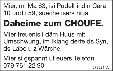 Daheime zum CHOUFE, zu kaufen gesucht