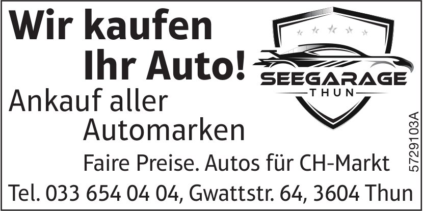 Seegarage, Thun - Wir kaufen Ihr Auto!