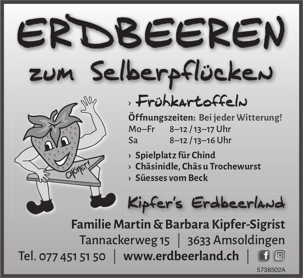 Kipfer's Erdbeerland, Amsoldingen - Erdbeeren zum Selberpflücken