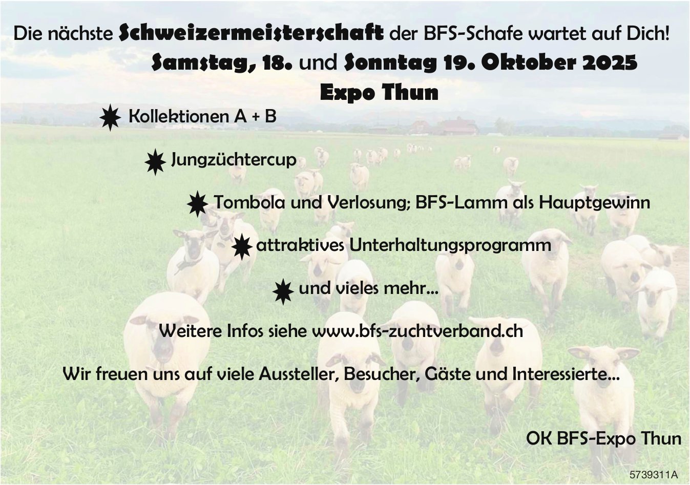 Schweizermeisterschaft der BDS-Schafe, 18. und 19. Oktober, Expo, Thun