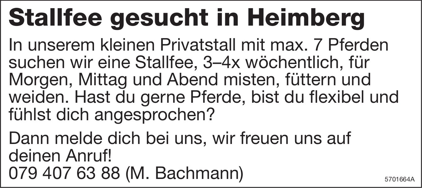 Stallfee, Privatstall, Heimberg, gesucht