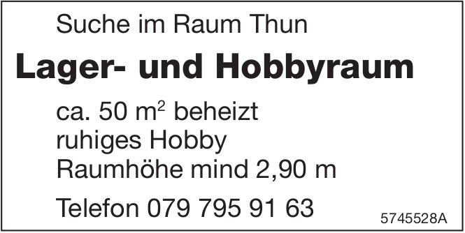 Lager- und Hobbyraum, Thun, zu mieten gesucht