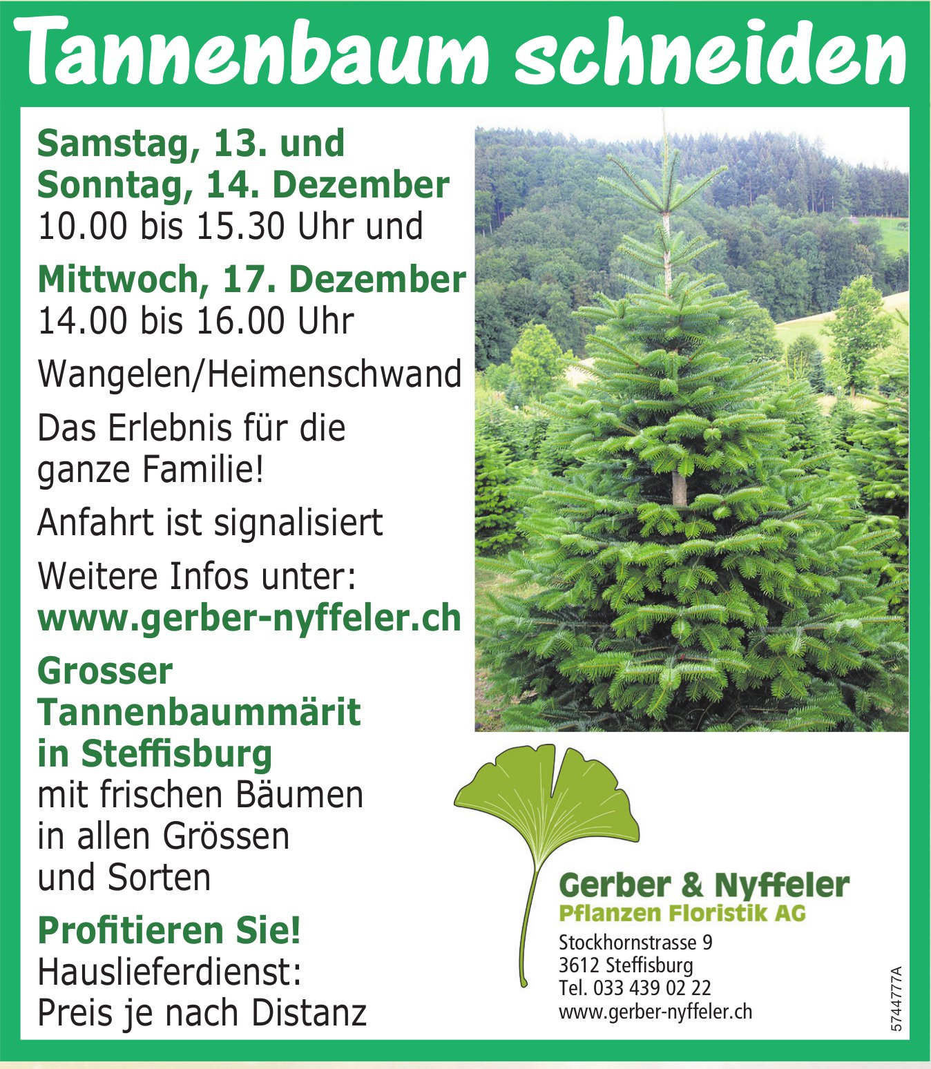 Gerber Nyffeler, Steffisburg - Tannenbaum schneiden