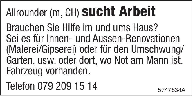 Allrounder (m, CH) sucht Arbeit, sucht