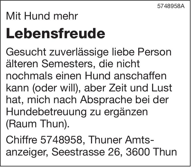 Hundebetreuung, Thun, sucht