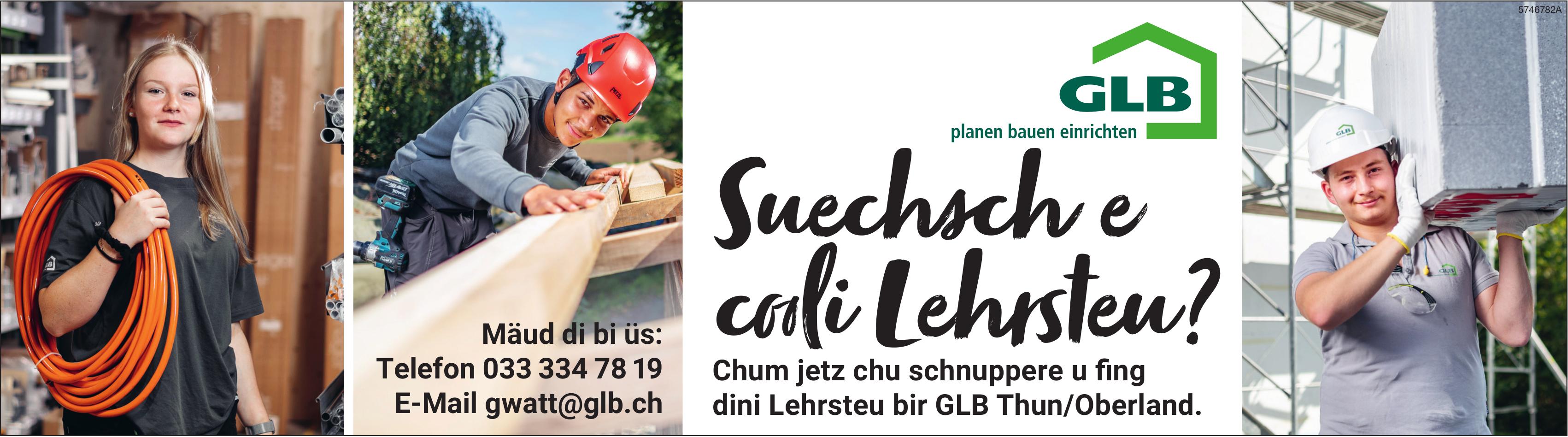 Suechsch e coole Lehrstiu?, GLB Thun/Oberland, Gesucht