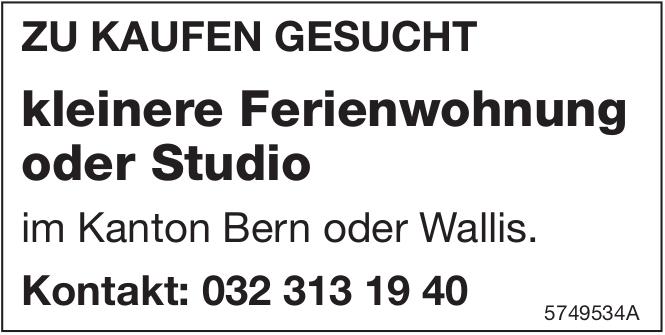 Kleinere Ferienwohnung oder Studio, zu kaufen gesucht