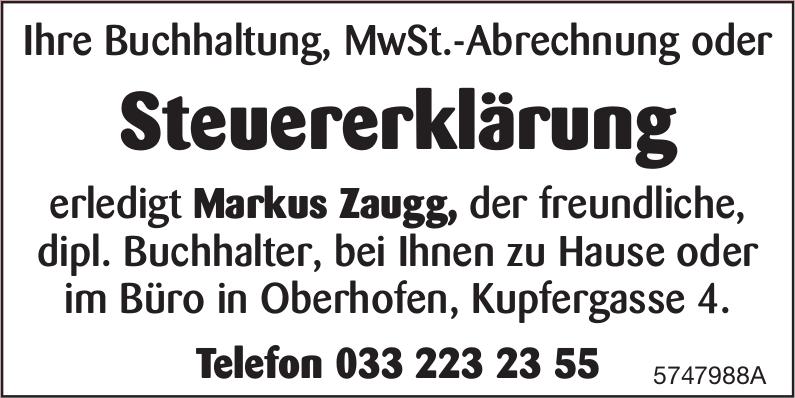 Markus Zaugg, Steuererklärung