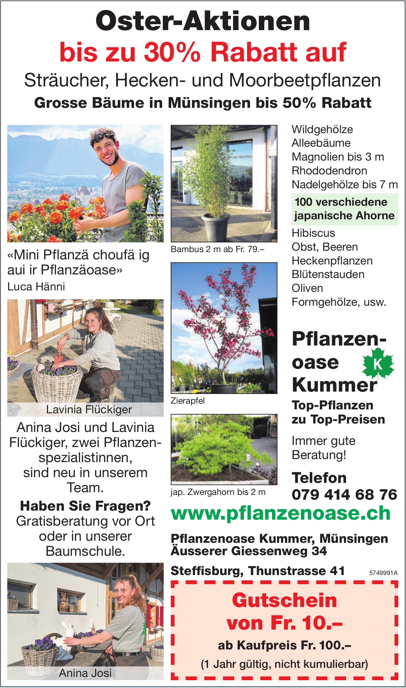 Pflanzenoase Kummer, Münsingen - bis zu 30% Rabatt auf