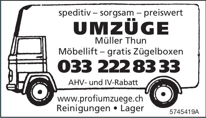 UMZÜGE Müller Thun, speditiv – sorgsam – preiswert