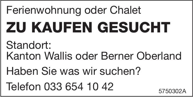 Ferienwohnung oder Chalet, Chalet, zu kaufen gesucht