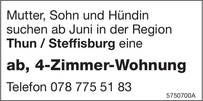 ab, 4-Zimmer-Wohnung, zu mieten gesucht