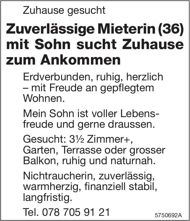 3½ Zimmer+, zu mieten gesucht