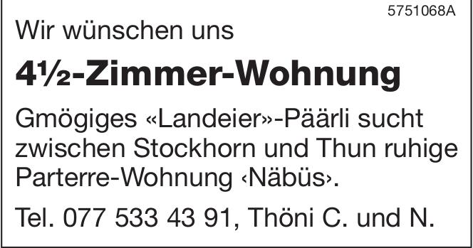 4½-Zimmer-Wohnung, 4½ Zimmer-Wohnung, zu mieten gesucht
