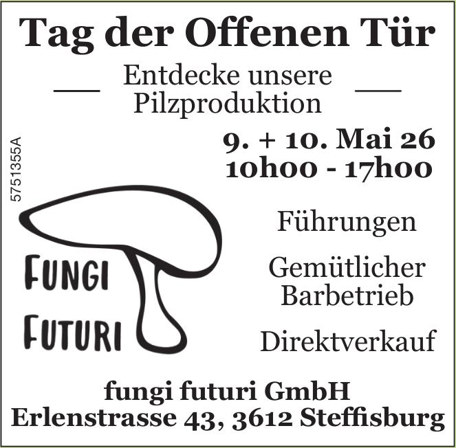 Tag der Offenen Tür, 9. - 10. Mai, Steffisburg