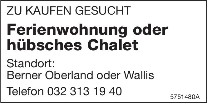 Ferienwohnung oder hübsches Chalet, Berner Oberland oder Wallis, zu kaufen gesucht