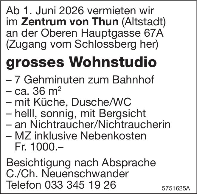 grosses Wohnstudio, Thun, zu vermieten
