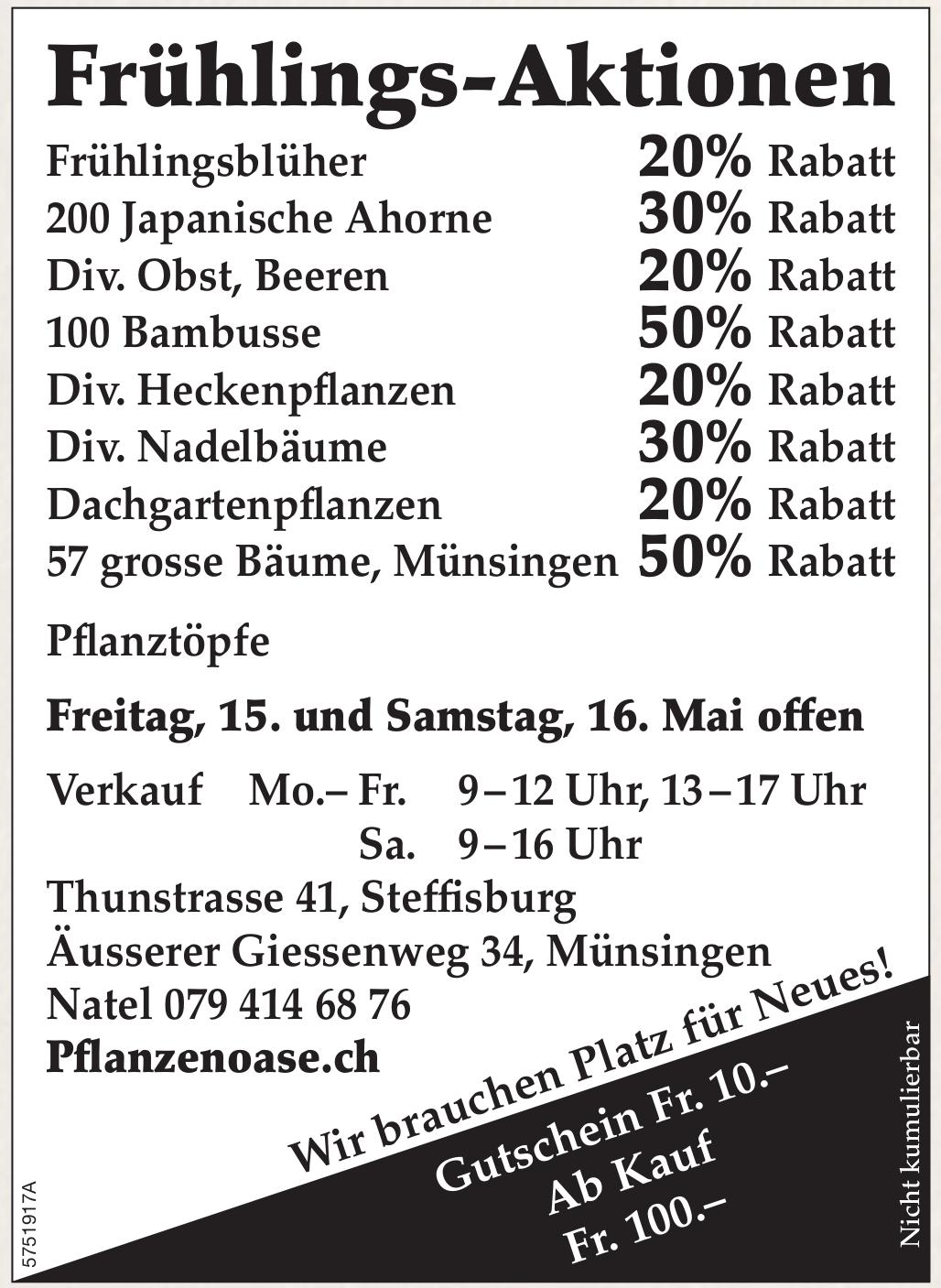 Pflanzenoase, Steffisburg - Wir brauchen Platz für Neues!
